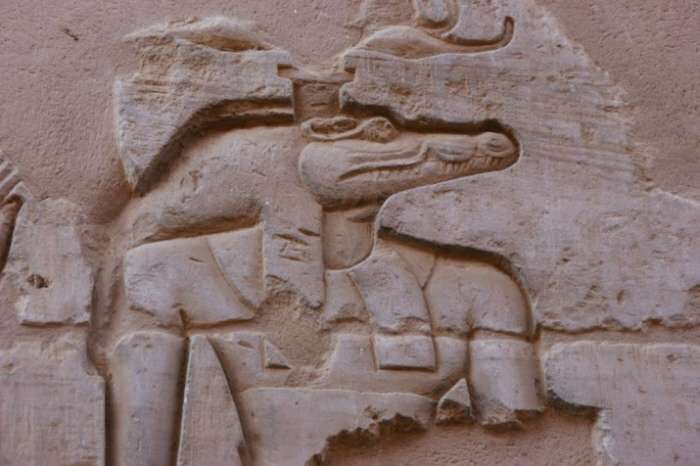 5to.Dia. Museo del cocodrilo en Kom Ombo - En Dahabiya, por el Nilo, con otros ojos (20)